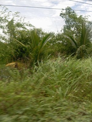 bán đất tại bàu năng - dương minh châu, 53 tỷ, 21,946.4 m2, giá cực chất