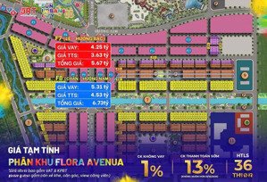 đất nền flora avenua - vị trí vàng ,giãn tiến độ 2 năm ,ck 14% ,sinh lời dành cho nhà đầu tư.