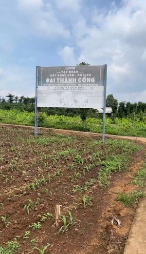 siêu phẩm đất mặt tiền lâm san, cẩm mỹ thổ cư sẵn, qh đất ở 100%, phân lô tốt, giá chỉ từ 1,5tr/m2