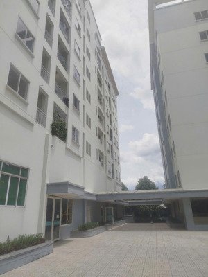 cho thuê căn hộ chung cư thanh bình - mới sơn sửa đẹp như nhà mới - view thoáng mát - giá tốt