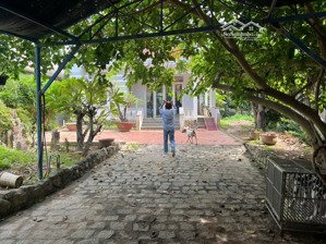 bán nhà vườn rộng đẹp mặt tiền lương đình của vĩnh thạnh nha trang khánh hòa.