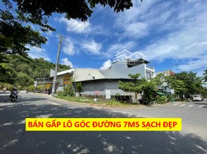 [siêu phẩm] - lô góc mặt tiền kinh doanh đường 7m5 lê đình kỵ & nguyễn thị cận 145m2