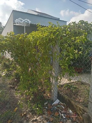 cần bán nhà 104,5 m2 thổ cư toàn bộ có chủ quyền, đường đê hùng vương.