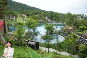 hoa hậu phân khu spring residences