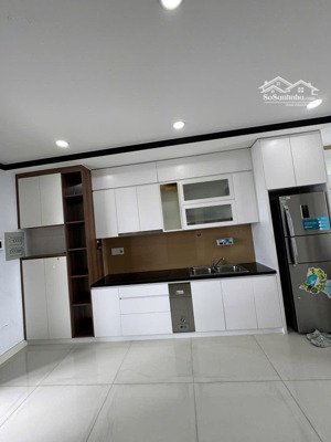 cho thuê căn hộ biconsi chợ đình phú lợi thủ dầu một bình dương dt 60m2 gồm 2 phòng ngủ full