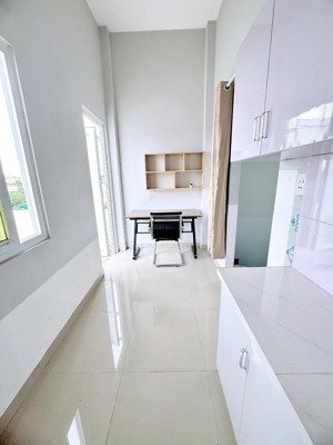 cho thuê penthouse 1pn riêng biệt bancol tách bếp, có 2 sân trước sau rộng thoáng ở võ thị nhờ, q7