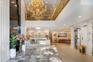 khách sạn 3* đường hà bổng 216 x 14 tầng 52 phòng dòng tiền gần 3 tỷ mỗi năm giá 100 tỏi