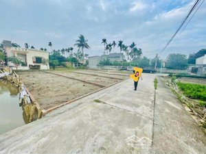 ngũ phúc- kiến thụy- hải phòng giá yêu thương .