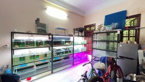 mễ trì 55m vị trí: nhà mặt ngõ 14 mễ trì hạ, thông phố đỗ đức dục, phạm hùng, kđt mễ trì hạ,