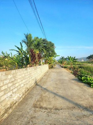 làm gì còn lô nào giá này. đông sơn, trục thông, ngõ ô tô 7 chỗ. mà giá chỉ 880tr. không lỗi lầm. d