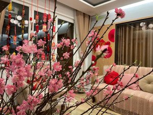 chính chủ bán căn hộ 68m2, 2pn, nội thất tiện nghi, nghĩa đô - hoàng quốc việt giá 5,2 tỷ