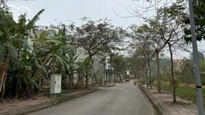 Bán 171m2 mặt tiền 8m nở hậu hơn 13m hướng Đông mát mẻ