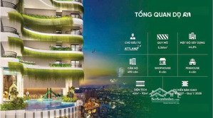 dự án căn hộ the artstella dĩ an, đón đầu sáp nhập rumor 38.5tr/m2