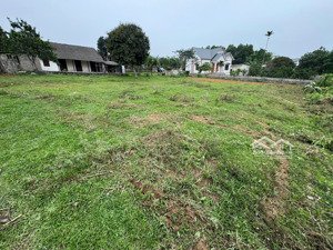 a74 bán đất vàng thôn chóng - yên bài - ba vì