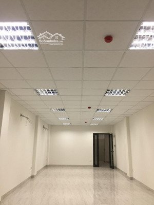cho thuê toà nhà mt 7 tầng có thang máy gần đường xô viết nghệ tĩnh đà nẵng, diện tích 5*19m * 7t