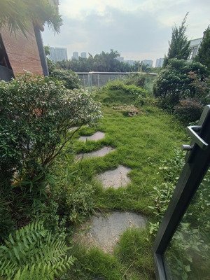 tôi cần bán căn penthouse tòa n04 ,dt 300m thành thái,có vườn 80m ,view hồ ,giá 23 tỷ.lh 