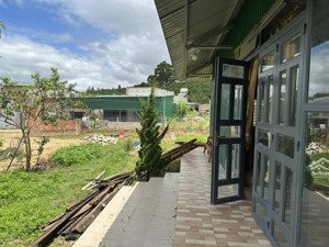 tôi cần bán gấp đất nhà vườn(cách chợ đinh văn 2km)xã đạ đờn,lâm hà,lâm đồng.dt 2820m2,giá 3,1tỷ