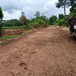 chủ gửi bán lô đất vườn xã kim long. tp. hồ chí minh . ( láng lớn. châu đức cũ)