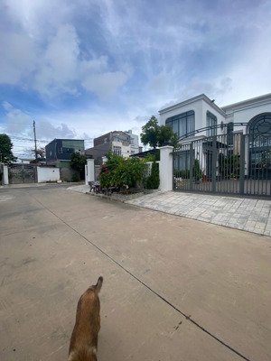 lô đất đẹp nhất tân thành 175m