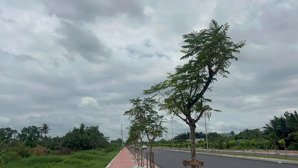 bán đất phong phú, bình chánh diện tích 200.000 m² giá thỏa thuận