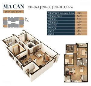 cần bán gấp căn hộ 114m2 3 ngủ 2wc chung cư capital elite. anh chị quan tâm lh: 