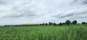 bán 24.300m2 đất xây xưởng kcn tân đức, đức hòa, long an- giá 180 usd/m2- xuất hđ đủ- vị trí đẹp