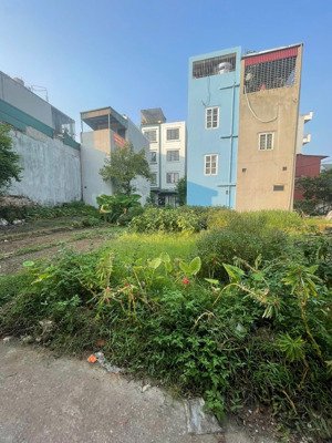 bán đất hoà bình yên nghĩa 43m2 giá chỉ 3.1 tỷ. lh 