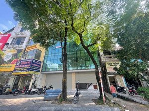 cho thuê nhà mặt phố trần khát chân 60m x 5 tầng, thang máy, mt 10m, thông sàn, mới đẹp