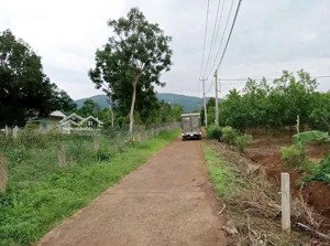 bán đất gấp ai có nhu cầu liên hê