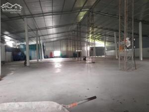 Cho thuê nhà xưởng tại thành phố Hải Dương