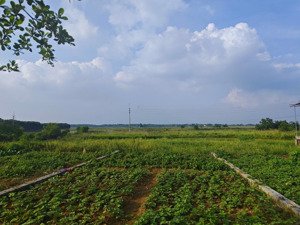 hàng mới ra lò nóng bỏng tay chỉ 1,x tỷ đất phú cát - hà nội