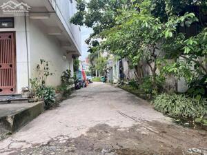 Đất Trâu Quỳ đường oto tránh giá nhỉnh 5 tỷ