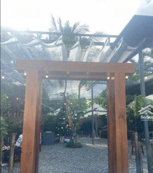 chính chủ cho thuê 2 lô góc mặt tiền trần bạch đằng lâm hoành giá tốt chỉ 80 tr/tháng