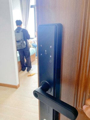 cho thuê cc mini 1pn, 5,5 triệu, 30m2 tại lê đức thọ, p 16, gò vấp, hcm giá tốt