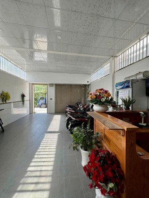 chủ định cư canada ra gấp khách sạn, hà huy giáp, 6 x 28 =170m2, 13 tỷ.