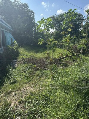 cần bán gấp lô đất đẹp gần ttyt tân phú đông tại sa đéc, đồng tháp, 120m2/550tr, shr, thổ cư 100%