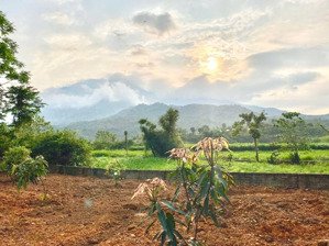 chính chủ cần bán manh đất dt 1534m tc 200m viu núi thoáng cánh đồng đất phân lô ngi duong