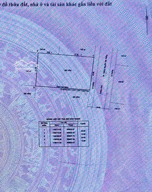 120 tỷ giảm 98 tỷ, đất 146b4 nguyễn văn hưởng, p. thảo điền, q.2 19x22m, 417m2 compound 24/7