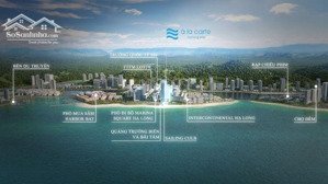 tổng nguồn giá đầu tư tốt nhất alacarte hạ long chỉ từ hơn 50tr/m view biển số lượng có hạn