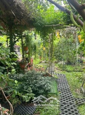 bán căn nhà vườn 400m2 tại dĩ an chỉ 6,5 tỷ