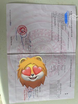 em chào anh chị đâu tư vài lô đất đẹp giá rẻ tdc khu b bắc sống cấm .