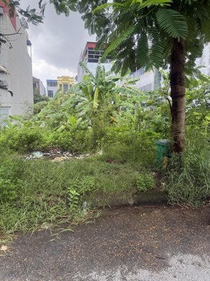 lô 04lk13 , khu a tái định cư bắc sông cấm, thủy nguyên, hải phòng