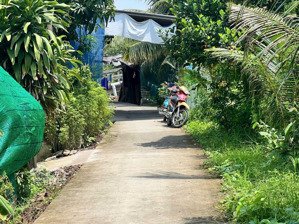 nền thổ cư thuộc nhơn nghĩa, phong điền,gần cầu vàm xáng