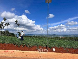 đất đẹp nghỉ dưỡng sân vườn view cực chill tân văn lâm hà