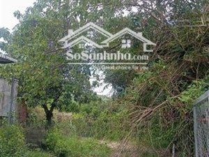 bán đất trồng cây tại thôn tân thành,suối tiên, diên khánh,giá ưu đãi 121 tỷ, diện tích 7961m2