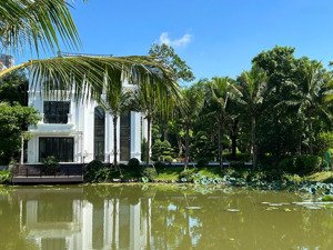 cơ hội hiếm có sở hữu biệt thự đảo ecopark grand 500m², top 20 căn đẹp nhất dự án