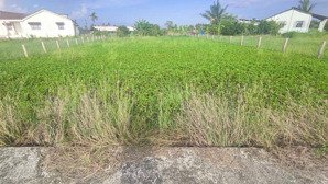 bán đất dt 634m2 tại đt 833, đức tân, tân trụ, long an, giá 950 triệu