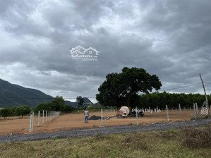 bán đất tại suối tiên, diên khánh, khánh hòa, 86 tỷ, 4786.1 m2, hot!