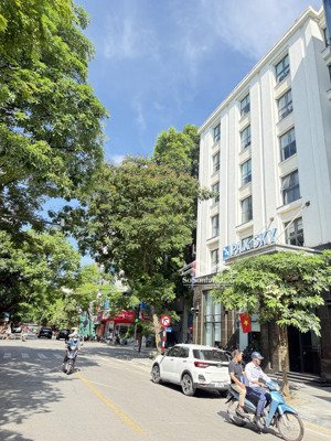 hoà mã - hai bà trưng. siêu phẩm toà văn phòng cực đẹp thiết kế hiện đại.vị trí cực víp gần phố huế