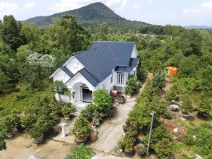 bán biệt thự sân vườn khu tượng, phú quốc toạ lạc trên 500m2 đất,cách bãi ông lang chỉ 15p giá 3.5t